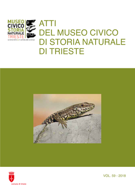 Atti Del Museo Di Storia Di Trieste