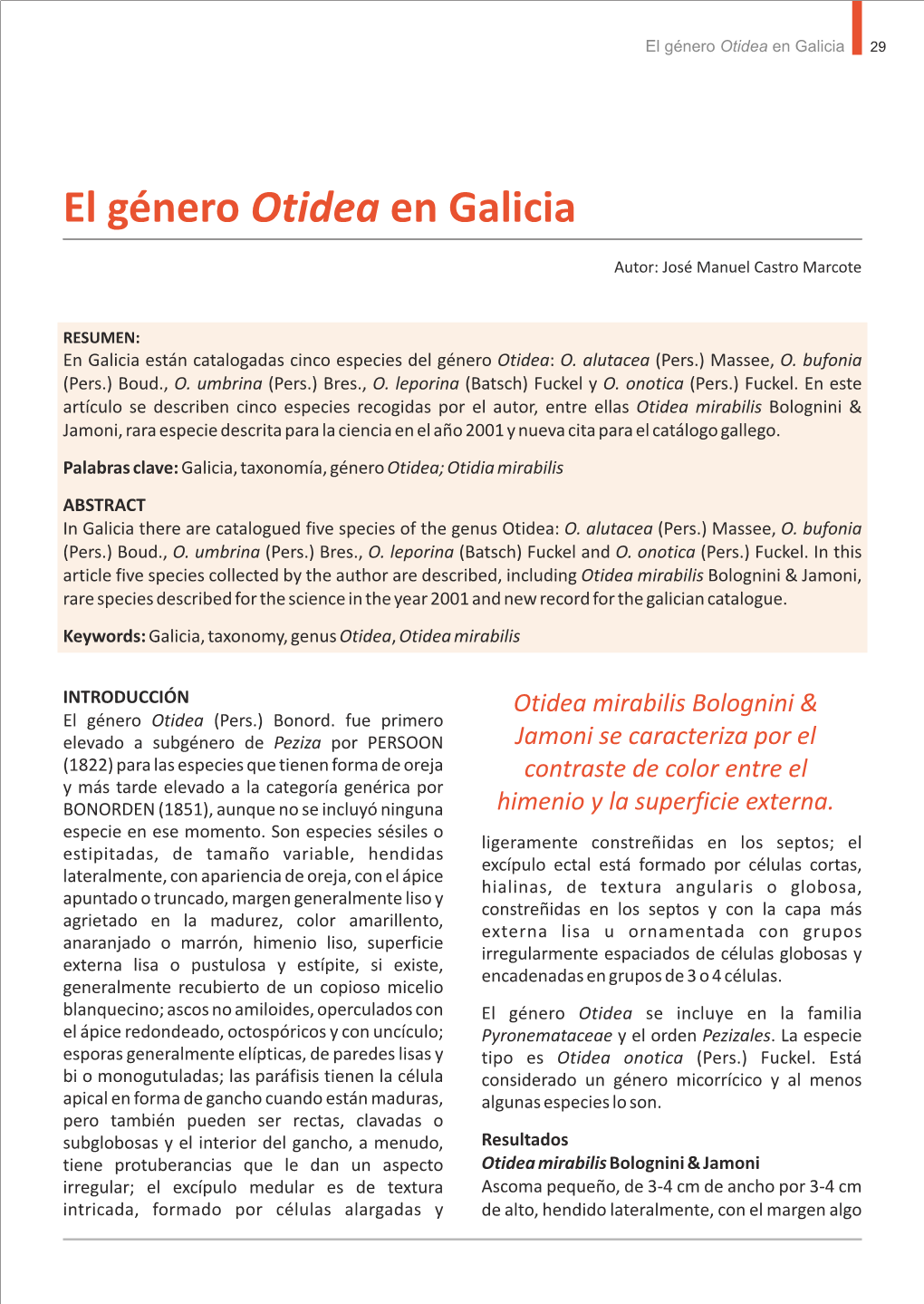 El Género Otidea En Galicia 29