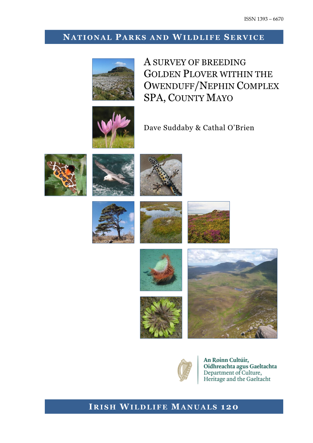 A Survey of Breeding Golden Plover Within the Owenduff/Nephin Complex SPA, County Mayo