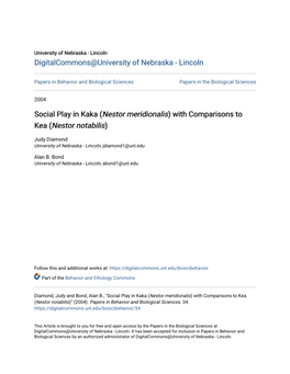 Social Play in Kaka (Nestor Meridionalis) with Comparisons to Kea (Nestor Notabilis)