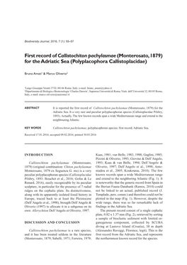 First Record of Callistochiton Pachylasmae (Monterosato, 1879) for the Adriatic Sea (Polyplacophora Callistoplacidae)