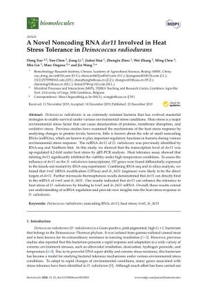 A Novel Noncoding RNA Dsr11 Involved in Heat Stress Tolerance in Deinococcus Radiodurans