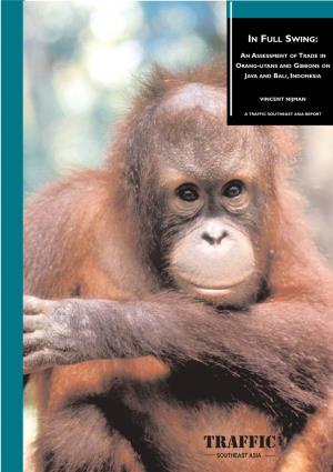 In Full Swing: an Assessment of Trade in Orang-Utans and Gibbons on Java and Bali, Indonesia