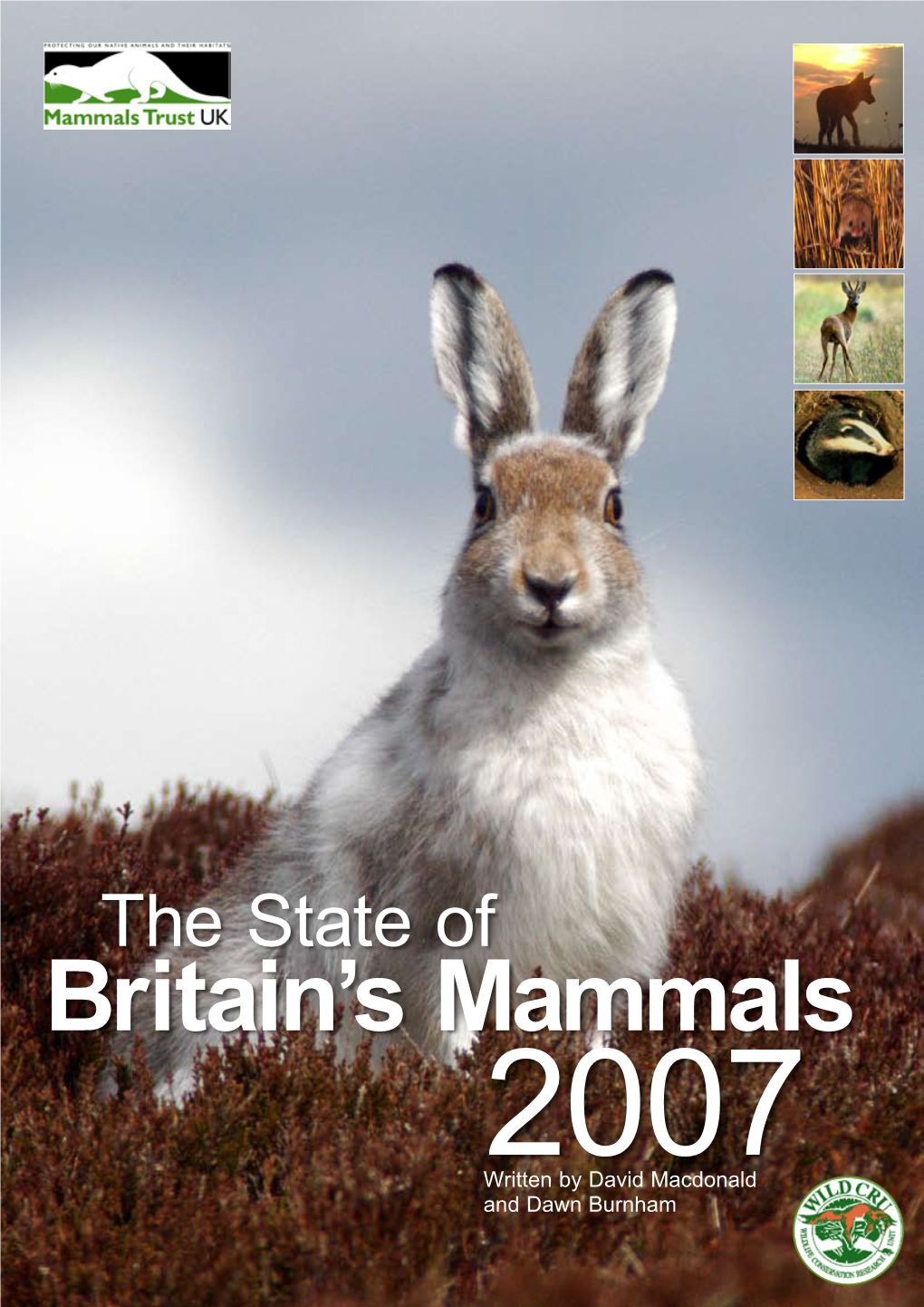 Britain's Mammals