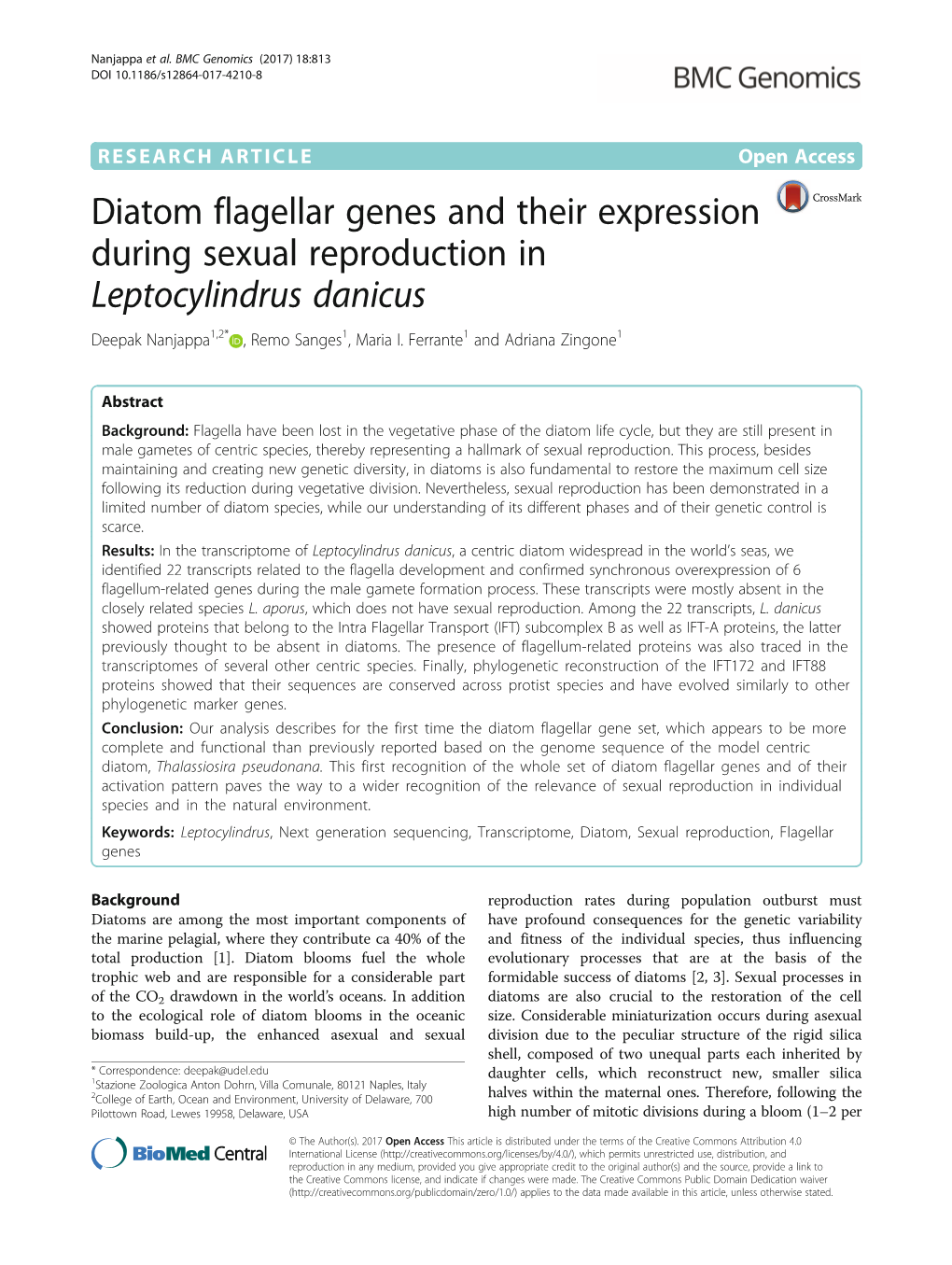 Diatom Flagellar Genes and Their Expression During Sexual Reproduction in Leptocylindrus Danicus