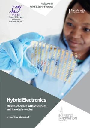 Hybrid Electronics Master of Science in Nanosciences and Nanotechnologies « Shape the Future of Materials with Us ! »