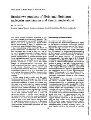 Breakdown Products of Fibrin and Fibrinogen: Molecular Mechanisms and Clinical Implications