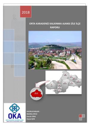 Orta Karadeniz Kalkinma Ajansi Zile Ilçe Raporu