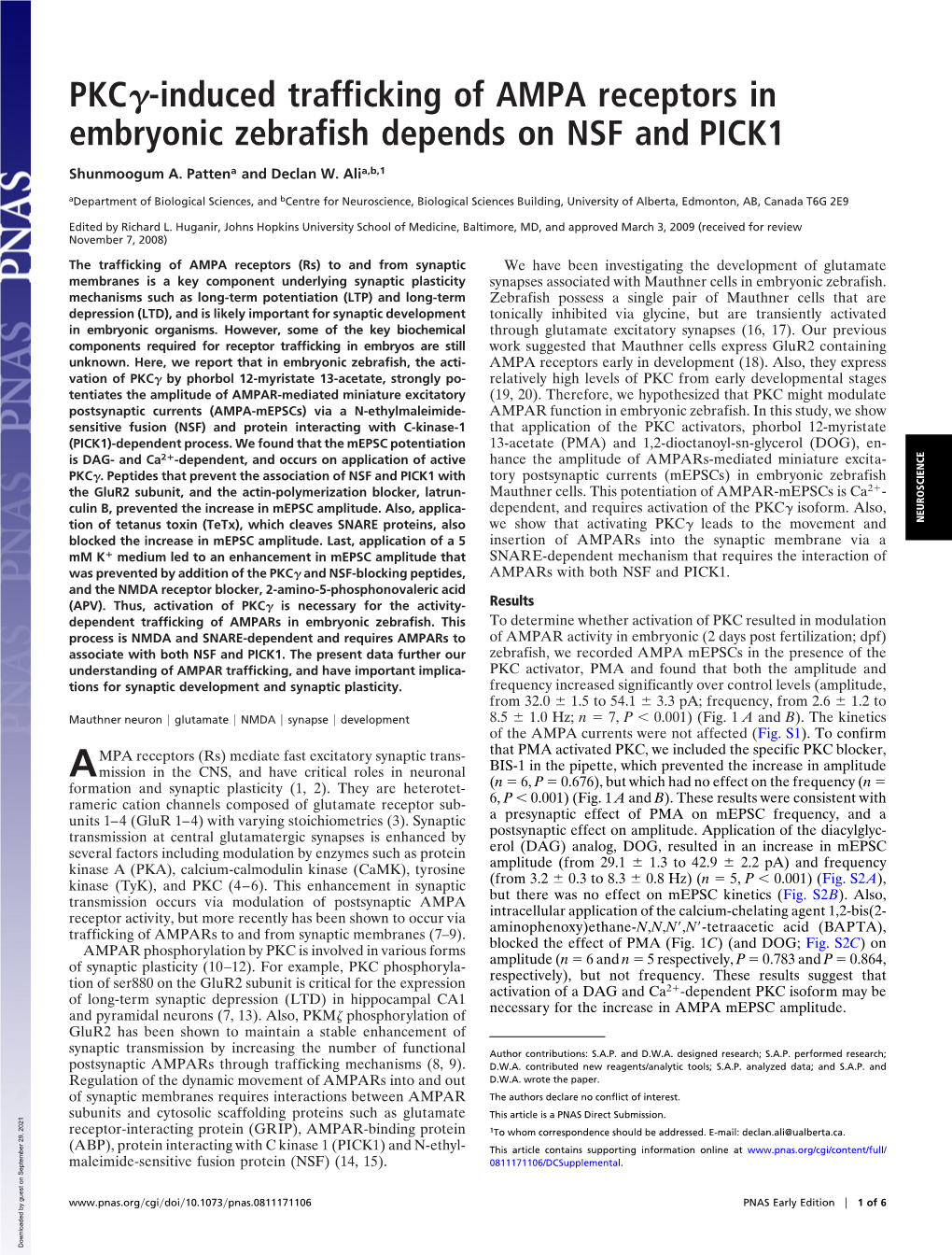 Induced Trafficking of AMPA Receptors in Embryonic Zebrafish Depends on NSF and PICK1