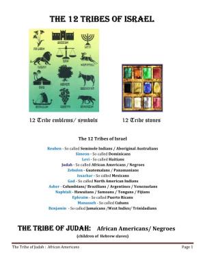 The 12 Tribes of Israel the 12 Tribes of Israel
