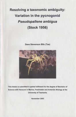 Variation in the Pycnogonid Pseudopallene Ambigua (Stock 1956)