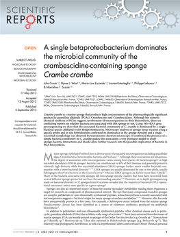 A Single Betaproteobacterium Dominates the Microbial Community of the Crambescidine-Containing Sponge Crambe Crambe