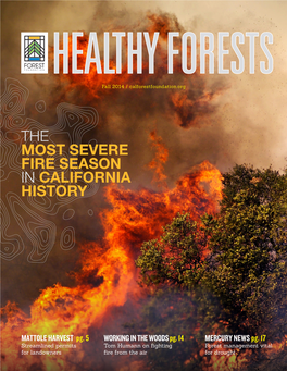 The Most Severe Fire Season in California History