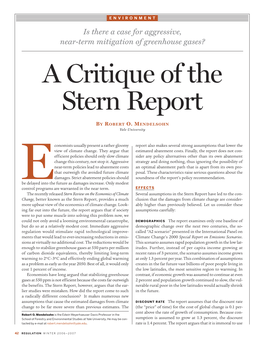 A Critique of the Stern Report