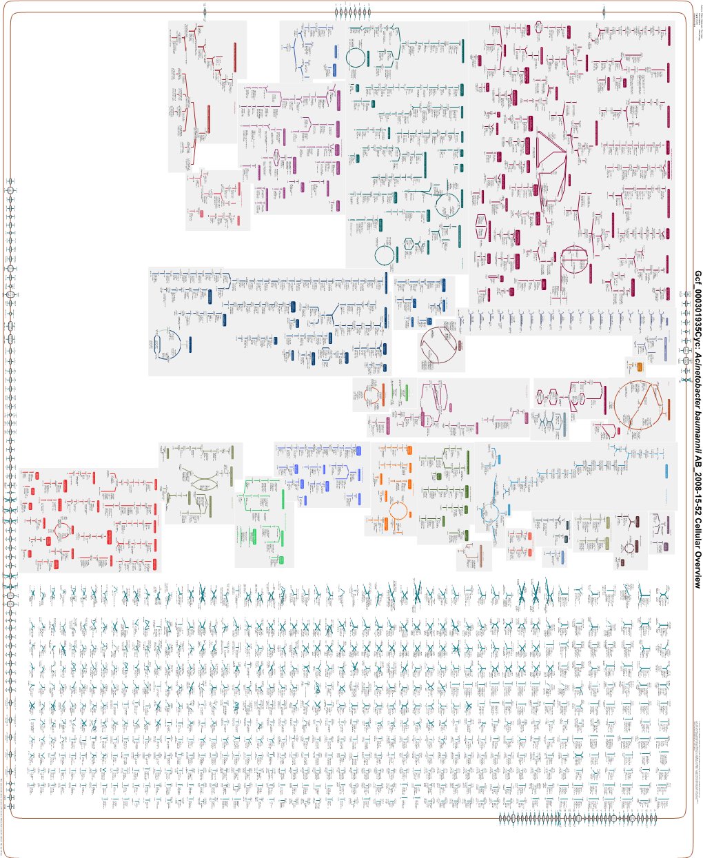 Generate Metabolic Map Poster