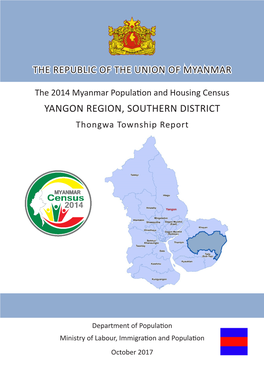 Thongwa Township Report