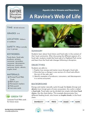 A Ravine's Web of Life