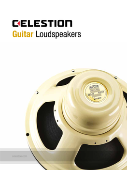 Guitar Loudspeakers
