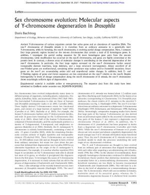 Molecular Aspects of Y-Chromosome Degeneration in Drosophila