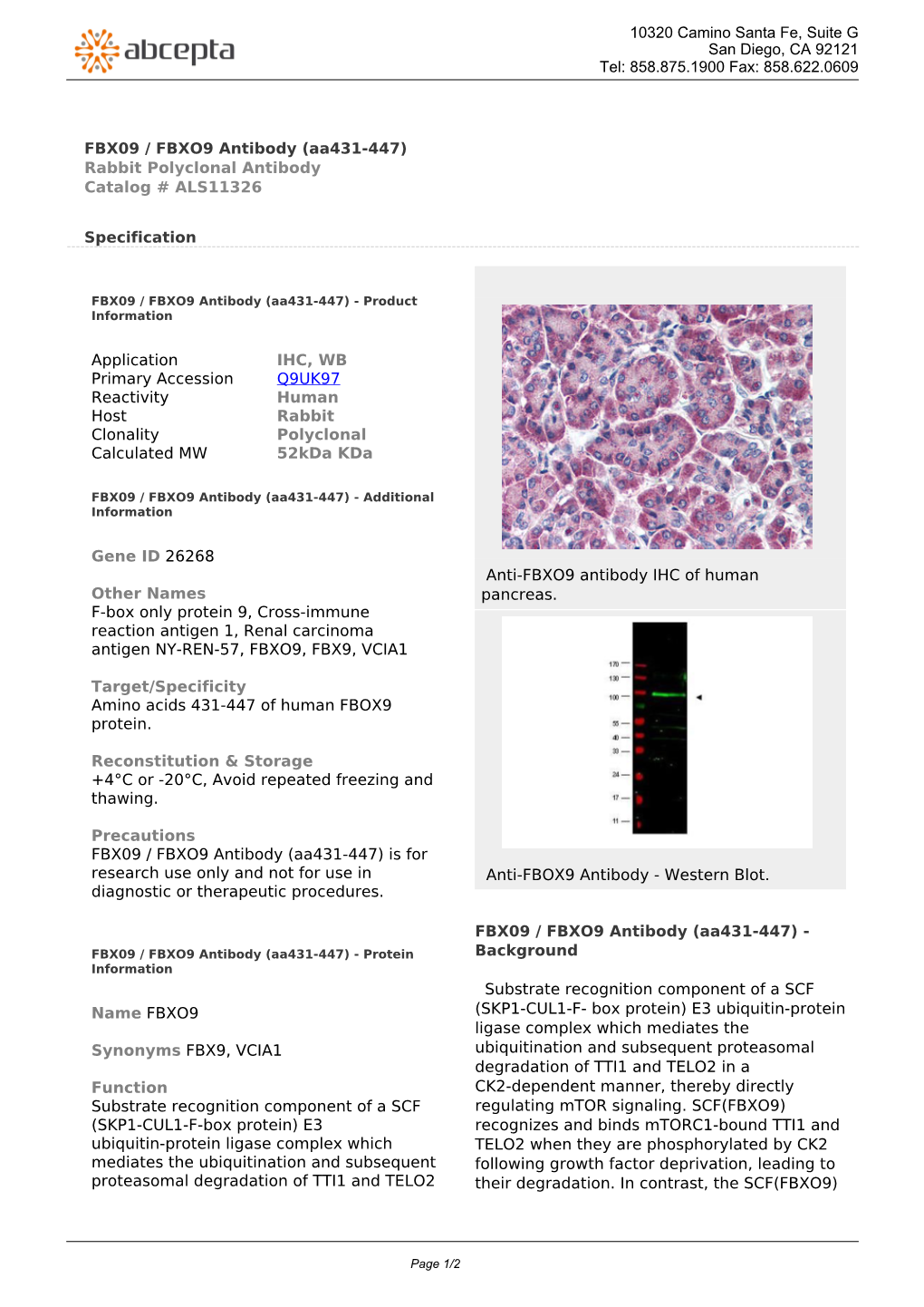 FBX09 / FBXO9 Antibody (Aa431-447) Rabbit Polyclonal Antibody Catalog # ALS11326