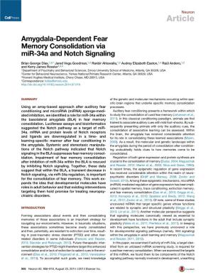 Amygdala-Dependent Fear Memory Consolidation Via Mir-34A and Notch Signaling