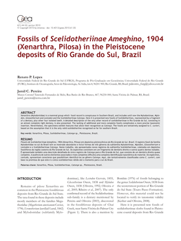 Fossils of Scelidotheriinae Ameghino, 1904 (Xenarthra, Pilosa) in the Pleistocene Deposits of Rio Grande Do Sul, Brazil