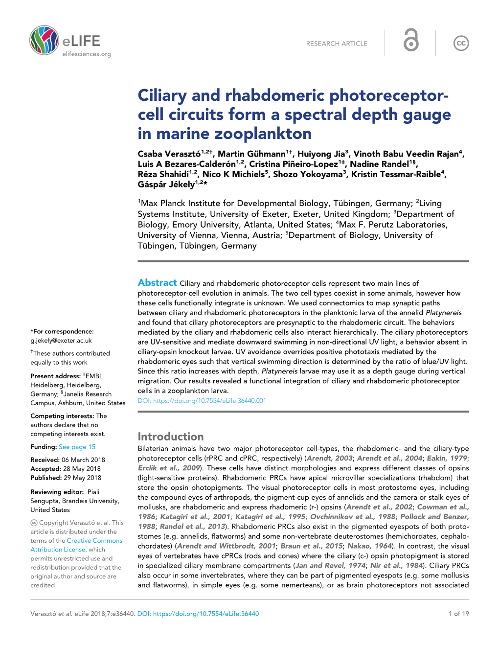 Ciliary and Rhabdomeric Photoreceptor- Cell Circuits Form A