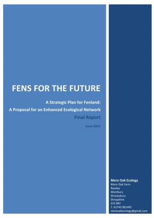 Fens for the Future Strategy