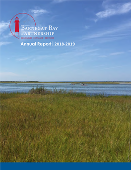 Annual Report | 2018-2019 What to Do About Rising Seas and Climate Change?