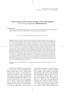 Subterranean Structures and Mycotrophy of the Achlorophyllous Dictyostega Orobanchoides (Burmanniaceae)