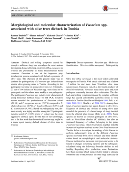 Morphological and Molecular Characterization of Fusarium Spp