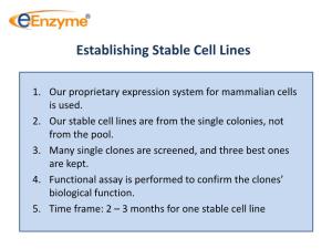 Establishing Stable Cell Lines