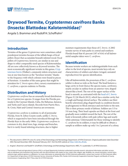 Drywood Termite, Cryptotermes Cavifrons Banks (Insecta: Blattodea: Kalotermitidae)1 Angela S