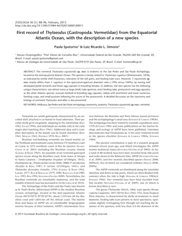 First Record of Thylaeodus (Gastropoda: Vermetidae) from the Equatorial Atlantic Ocean, with the Description of a New Species