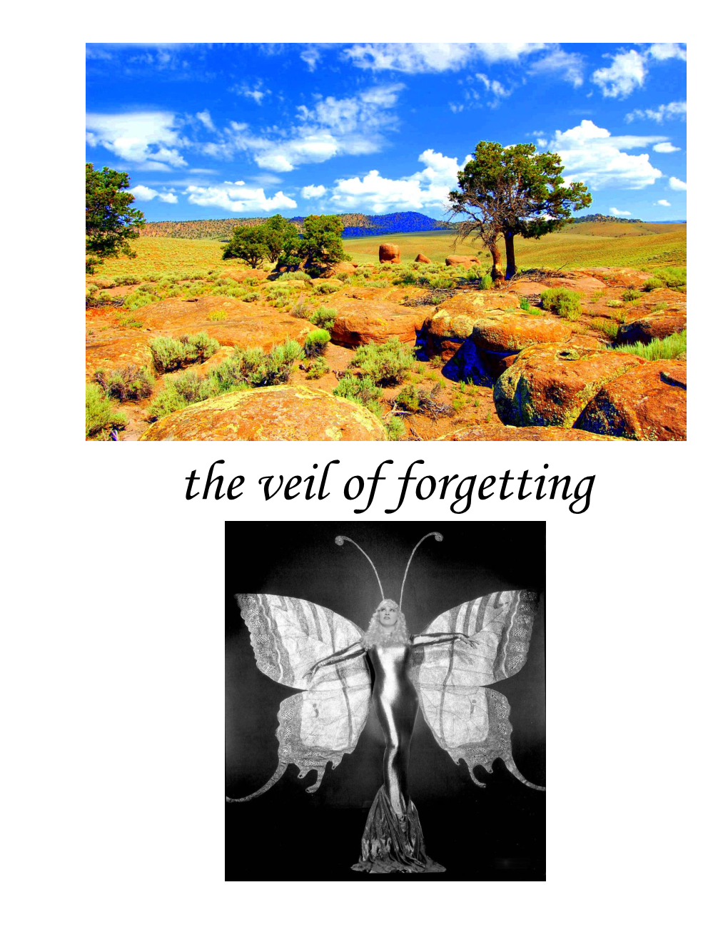 The Veil of Forgetting