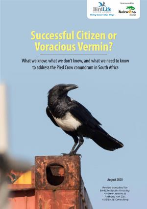 Successful Citizen Or Voracious Vermin? What We Know, What We Don’T Know, and What We Need to Know to Address the Pied Crow Conundrum in South Africa