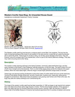 Western Conifer Seed Bug: an Unwanted House Guest Leptoglossus Occidentalis Heidemann; Family: Coreidae