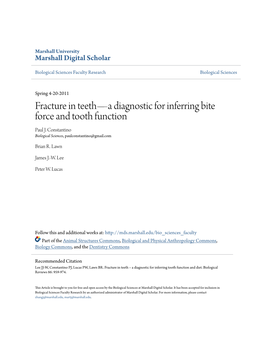 Fracture in Teeth—A Diagnostic for Inferring Bite Force and Tooth Function Paul J