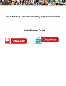 Noah Feldman Judiciary Testimony Impeachment Video