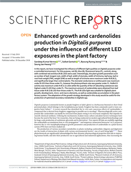 Enhanced Growth and Cardenolides Production in Digitalis Purpurea