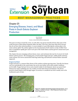 Emerging Disease, Insect, and Weed Pests in South Dakota Soybean Production