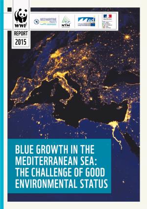 BLUE GROWTH in the MEDITERRANEAN SEA: the CHALLENGE of GOOD Environmental STATUS BLUE GROWTH in the MEDITERRANEAN SEA: the CHALLENGE of Good Environmental Status