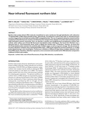 Near-Infrared Fluorescent Northern Blot