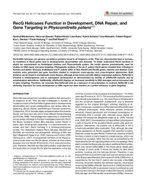 Recq Helicases Function in Development, DNA Repair, and Gene Targeting in Physcomitrella Patens[OPEN]