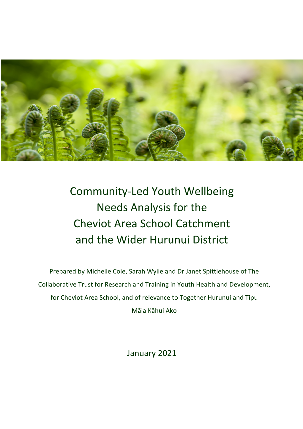 Community-Led Youth Wellbeing Needs Analysis for the Cheviot Area School Catchment and the Wider Hurunui District