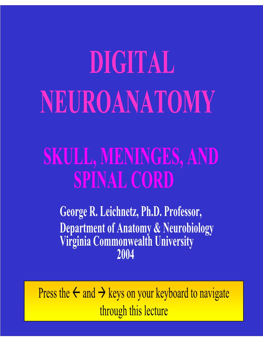 Digital Neuroanatomy