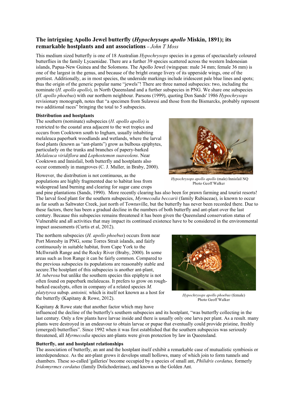 Apollo Jewel Butterfly (Hypochrysops Apollo Miskin, 1891); Its Remarkable Hostplants and Ant Associations – John T Moss