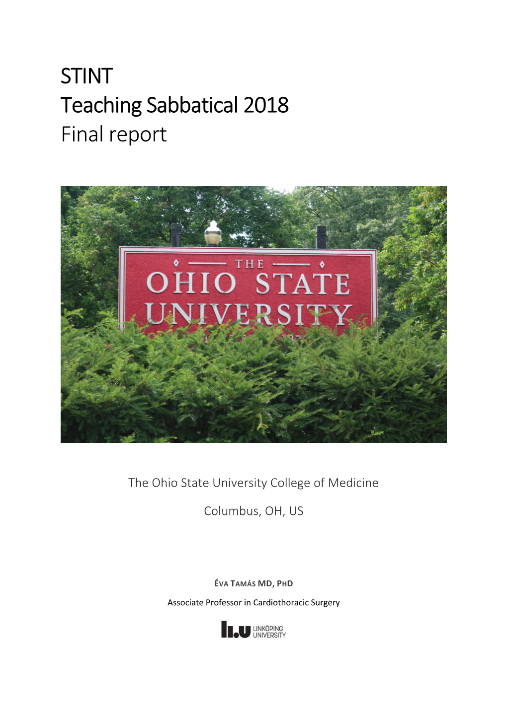 STINT Teaching Sabbatical 2018 Final Report