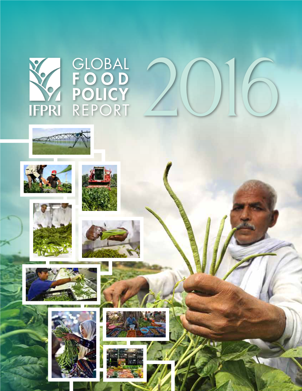 2016 Global Food Policy Report