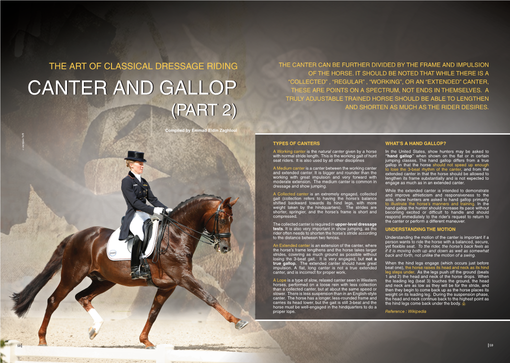 The Art of Classical Dressage Riding Canter and Gallop